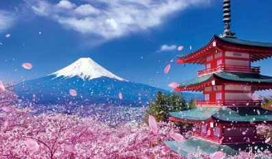 Travel